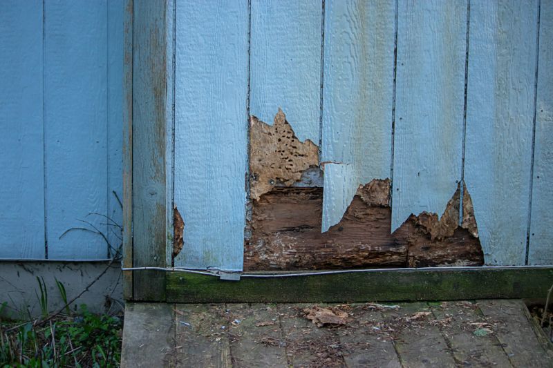 Signs You Need Siding Service